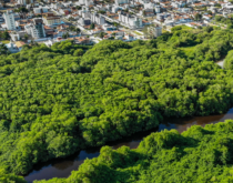 Mudanças no Código Florestal para Recuos Hídricos em Áreas Urbanas Consolidadas